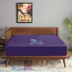 Trance Cotton Feel Terry Ultra Soft Waterproof Mattress Protector Queen Size Double Bed | Breathable - Hypoallergenic Bed Protector Queen Size (78x60 inch | 6.5x5 feet, Plum - Pack of 1)