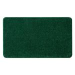 MIULEE Bath Mats Non Slip Bathroom Mats Shower Mat Absorbent Bathroom Rug Small Rug Door Mat Inside Kitchen Rugs Carpet Mat for Bathroom Bedroom Kitchen Entrance 40x60 cm Deep Green