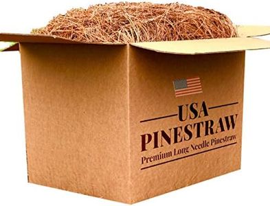 USA Pine S