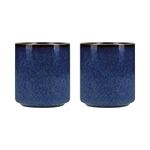 Mikasa MKSATCUP2PC Satori Japanese Sake Cup Set with Gold Rims in Gift Box, Porcelain, Blue