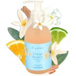 Di Palomo Orange Blossom & Honey Liquid Soap 240ml. Luxury Hand Wash, Hand Soap Dispenser. Skin Care Antibacterial Soap. Handwash Liquid Soap. Liquid Soap Gifts for Women. Liquid Soap. Italian Soap.