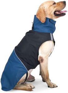 Dog Warm C