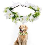 Dog Wedding Flower Crown, Floral Garland Collar Dog Flower Wreath Bow Pet Flower Ring Wedding Attire for Photo Props