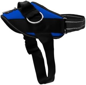 ShawnCo Essential Dog Harness, No-Pull Pet Vest with 3 Leash Clips, No Choke, Reflective, Adjustable and Padded, for Easy Walking and Training for Small, Medium and Large Dogs (Electric Blue,XL)