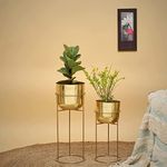 HomeShastra® Allura Gold Metal Planters with Stands | 21 Inch & 17 Inch (Height) by 7.5 inch & 6.5 Inch (Dia) | Planters for Living Room, Bedroom Interior Ideas (Gold)