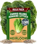 HOME GROWN Parris Island Romaine Lettuce Seed Pack - 3500+ High Germination Heirloom Non-GMO Vegetable Seeds, Lettuce Seeds for Planting, and for Hydroponic Garden Indoor and Outdoor (Lactuca Sativa)