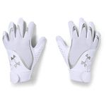 Under Armour Womens Radar 20 Softball Gloves