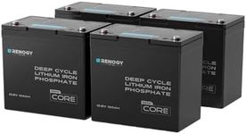 Renogy 4PCS 12V 100Ah LiFePO4 Lithi