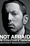 Not Afraid: The Evolution of Eminem