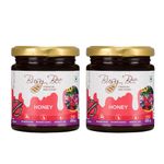 Busy Bee Honey, No Added Sugar And No Added Essence - 250 gm Each (2 Jars)