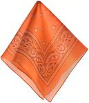 Amscan Bandana, Party Accessory, Ne