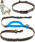 Exquisite Hands Free Dog Leash for 