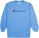 Champion Sweatshirt Mens Big And Tall Logo Sweater Champion Crewneck Sweatshirt