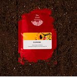 Canadian Non-GMO Rare Flower Seeds Collection by The Good Growers: Annual Velvet Queen Sunflower, Crackerjack Marigold, and Jimis Flag Poppy Mix - Cultivate Colorful Blooms