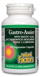 Natural Factors - Gastro-Assist with Mastic Gum, Zinc, L-Carnosine & Chamomile, 60 capsules