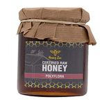 Raw Honey Polyflora, 100% Authentic and Natural Sweet Honey, Pure Honey from The Mountains of Andalusia, Spain, Unfiltered, Unpasteurised and Unprocessed, 300g HoneyZee