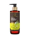 Khadi Natural Amla & Bhringraj Shampoo | Hair Cleanser for Nourishing Hair | Shampoo for Smooth & Soft Hair | SLS & Paraben Free | Suitable for All Hair Types | Powered Botanics | 310ml