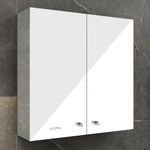 Plantex Premium Bathroom Cabinet with Mirror/ 304 Stainless Steel Bathroom Organiser with Mirror/Bathroom Mirror with Storage/Bathroom Accessories (18x18 Inch-Chrome/Double Door)