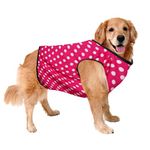 Sage Square Crazy Printed Dog T-Shirt, Trending Dog T-Shirt, Ultra Soft & Light Weight, Comfortable & Breathable Dog Apparel, Trendy Outfit (XLarge - 24 inch) (Polka Pink)