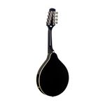 STAGG M50 E BLK Acoustic-Electric Bluegrass Mandolin with Nato Top, Black