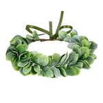 Yili Maizi Artificial Green Leaf Crown Eucalyptus Flower Wreath Women Girls Bohemian Headpiece Floral Headband Photo Prop