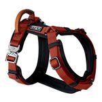 MADE TO ROAM Premium Explorer Harness - Y-Shaped Dog Harness with Adjustable Durable Nylon, Soft Padding, Metal Buckles and Leather Handle for Small, Medium, Large Dogs (Texas Flair, Size 5)