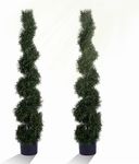 Two 5 Foot 4 Inch Artificial Cypress Spiral Trees Potted Indoor or Outdoor
