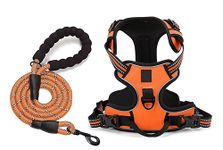 Genesis Dog Harness with Heavy Duty 5ft Dog Leash, Extra Large Size Nylon 3M Reflective. Easy Control Chest Body No Pull Belt for Pets. Orange Adjustable Double Padded Vest. (Girth inch: 31” – 41”)