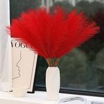 Wertuirk Red Pampas Grass Decor - 3