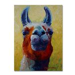 Trademark Fine Art ALI15337-C1824GG Canvas Art, 18x24