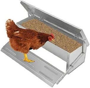 Auto Chick