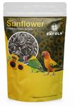 RAFOLA Natural Sunflower Seeds For Birds - 1Kg, Rich In Vitamins & Minerals, All Life Stages