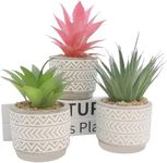 Zoste Set of 3 Artificial Succulent