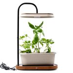 AGRISAGE Smart Indoor Hydroponic System for Home with LED Grow Light | Mini Indoor Hydroponic Planter Smart Garden | Indoor Grow Kit | App Controlled | Grow Fresh Herbs & Greens at Home | Starter Kit