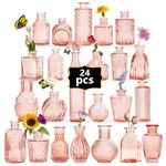 Anquephd Mini Bud Vases Set of 24 As Wedding Centerpieces for Tables,Clear Bud Vases for Flowers,Small Flower Vases Suitable for Birthday Party,Anniversary,Wedding Reception,Baby Shower (Pink, 24PCS)