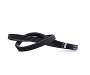 febi bilstein 38443 Auxiliary Belt, pack of one, Black