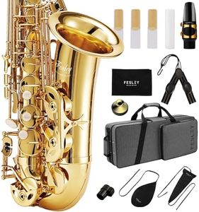 Fesley Saxophone E Flat Alto Saxophone: Saxofón Alto for Professional, Sax for Beginners & Students, Saxophones with Reeds, Neck Strap, Sax Case & Portable Cleaning Kit, Gold