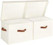 StorageWorks Closet Storage Bin wit