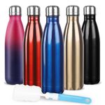 Sfee Insulated Water Bottle, 17 oz Stainless Steel Water Bottles, Double Wall Vacuum Reusable Water Bottles Leak Proof BPA-Free Sports Bottle Cup Keep Hot&Cold for Running Gym Workout Cycling Kids