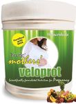 Develo Pregnancy & Lactation Protein Powder, Supplement for Pregnant Women & Lactating/Breastfeeding Mothers -500 g (Mixed Fruit)