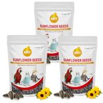 BOLTZ Striped Premium Sunflower Seeds for Birds, Bird Food for Lovebirds, Cockatiels, Sun Conure, African Grey Parrot, Amazon, Macaws, Cockatoos for All Life Stages (3Kg(Pack 3))