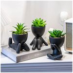 Office Plant For Men