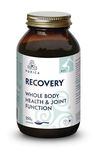 PURICA Pet Recovery Powder - 350g, Dog Joint and Hip Supplement, Joint Care for Enhanced Mobility & Comfort