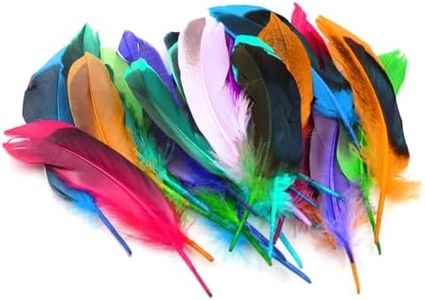 HDGSAFD 50 plumas coloridas para decoración artística de plumas, plumas mixtas naturales, accesorios de joyería, decoración de manualidades