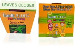 TickleMe Plant Birthday Party Favors (Pack of 2) (Leaves Fold When You Tickle It) Minutes Later The Leaves Re-Open. Great Science Stocking Stuffer. Educational. Grow Indoors. It Even Flowers.