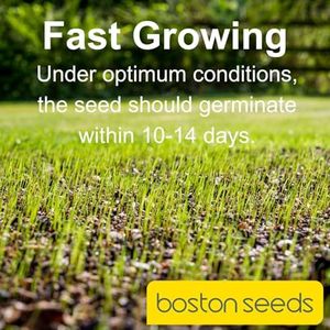 Boston Seeds Premier Grass Seed 5kg – Premium Professional Lawn Mix