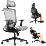 COMHOMA Ergonomic Office Chair, Executive Mesh Desk Chair High Back Computer Chair Adjustable Armrest and 3D Lumbar Support, Heavy Duty Office Chair with 3D Headrest & Reclines, Gray