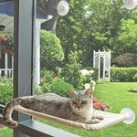 Large Cat Hammock Window Perch with 4 Suction Cups & Solid - Cat Window Perch for Ultimate Comfort (Grey)