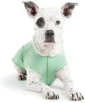 Gold Paw Sun Shield Dog Tee - T-Shirt for Canines - UV Protection, Pet Anxiety Relief, Wound Care - Protects Against Foxtails, Aids Alopecia - Machine Washable, All Season - Size 6 - Pistachio