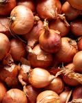 Medium Round Pickling Shallots 4kg (25-45mm) - Parrish Farms